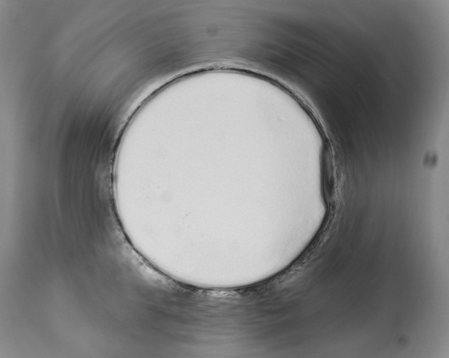 X0000114070903200911161150