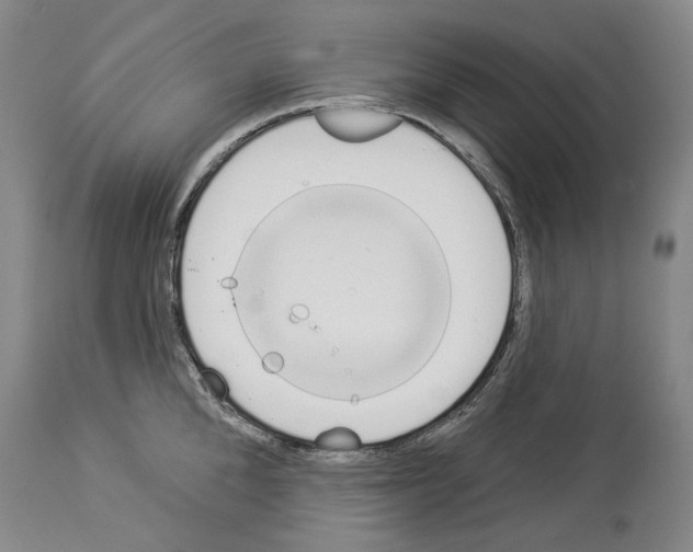 X0000114070904200911161150