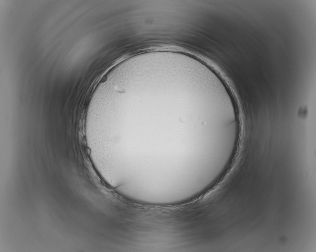 X0000114070905200911161150