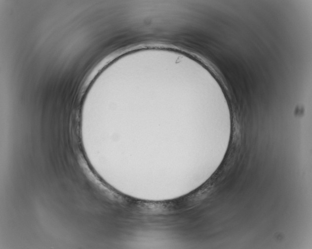 X0000114070911200911161149