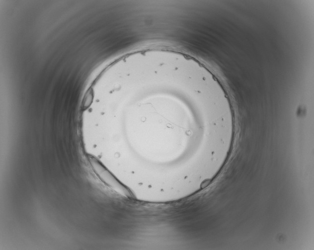 X0000114070912200911161149