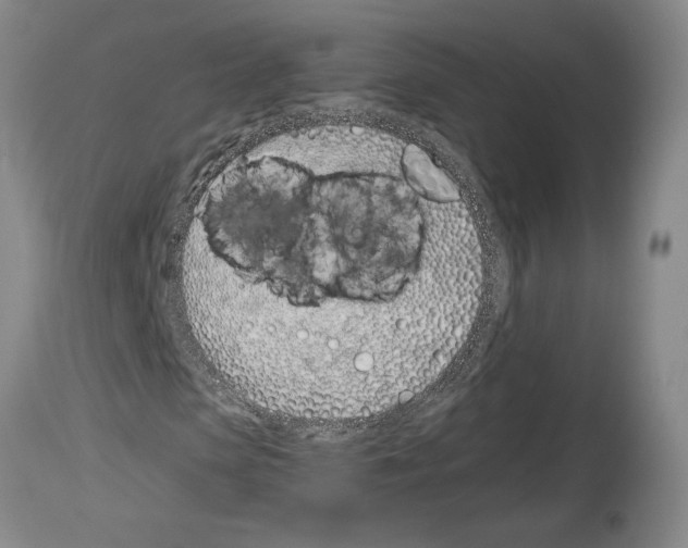 X0000114070913200911161149