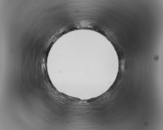 X0000114070915200911161149