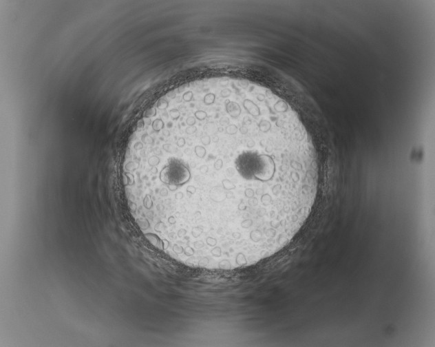 X0000114070917200911161149