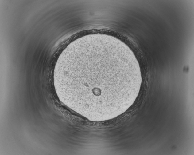 X0000114070920200911161149