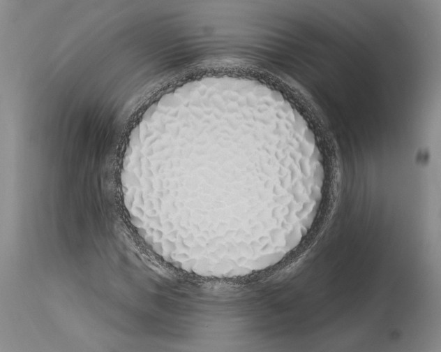 X0000114070921200911161149