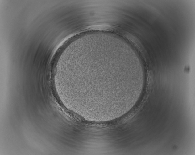 X0000114070923200911161149