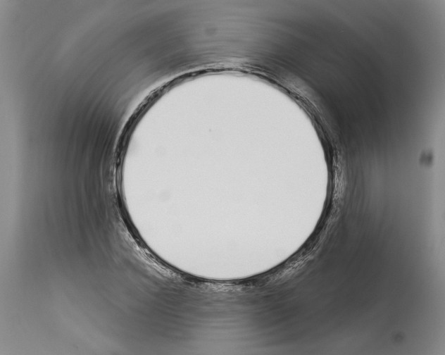 X0000114070924200911161149