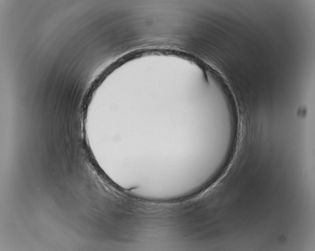 X0000114070925200911161149