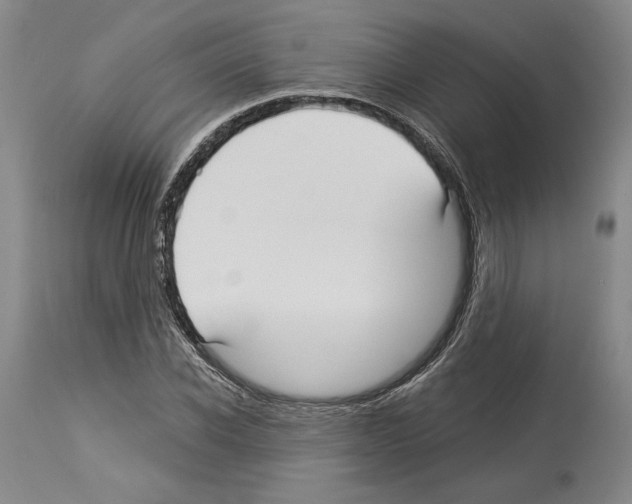 X0000114070926200911161149