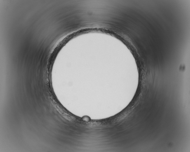 X0000114070927200911161149