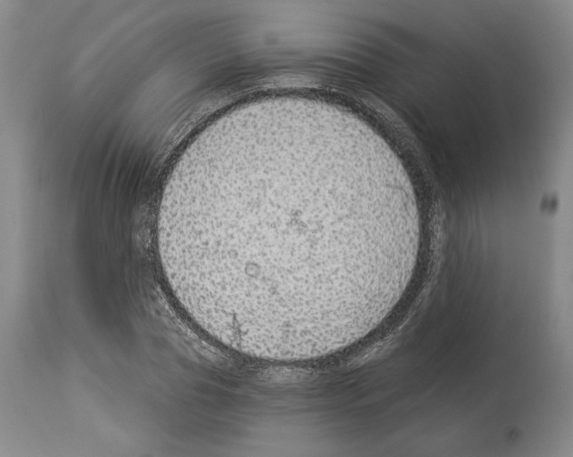 X0000114070929200911161149