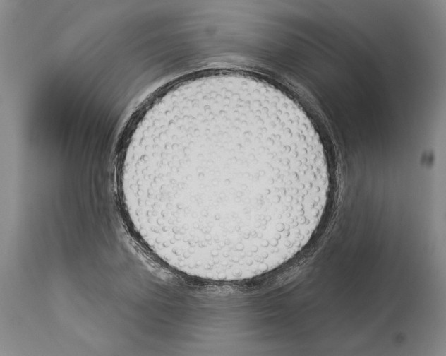 X0000114070931200911161149