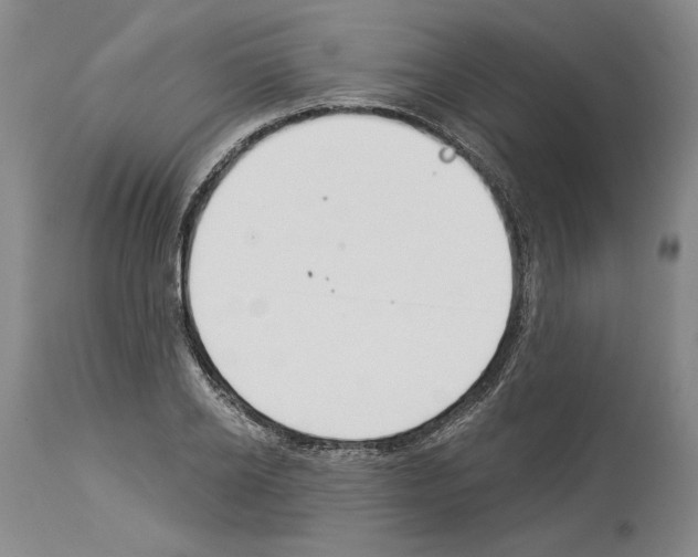 X0000114070934200911161149