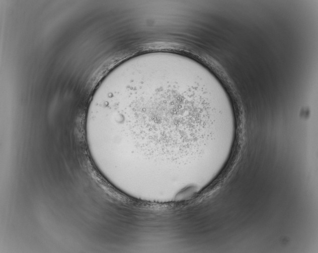 X0000114070937200911161149