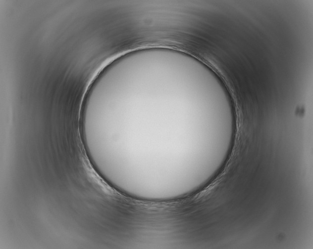 X0000114070940200911161149