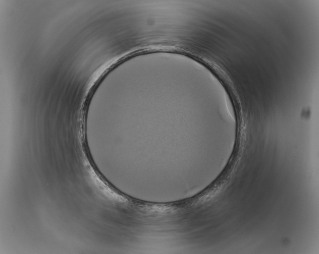 X0000114070941200911161149