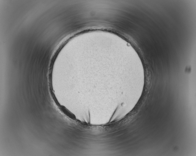 X0000114070943200911161149