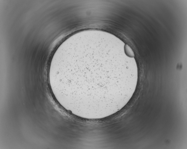 X0000114070944200911161149