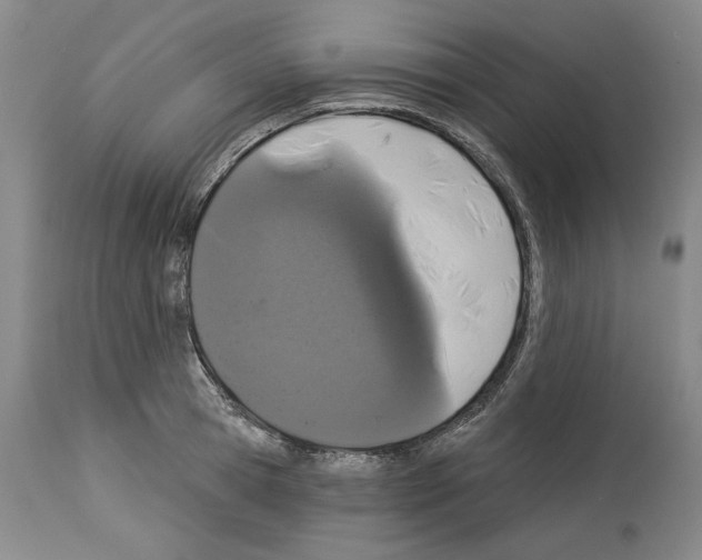 X0000114070945200911161149