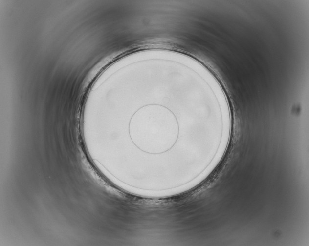 X0000114070949200911161149