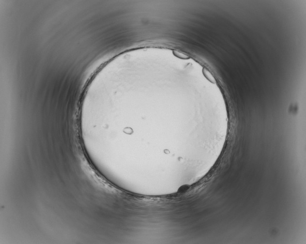 X0000114070952200911161149