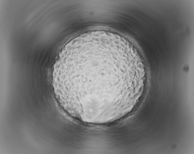 X0000114070953200911161149