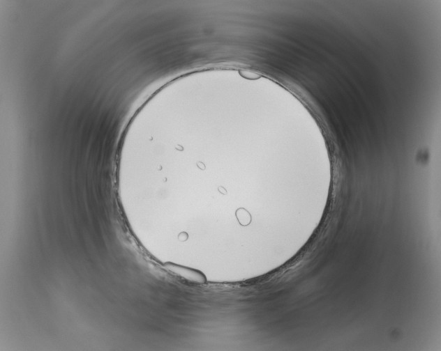 X0000114070956200911161149