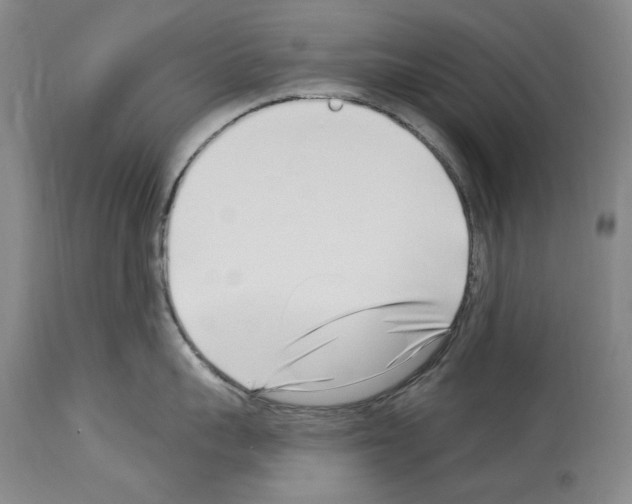 X0000114070959200911161149