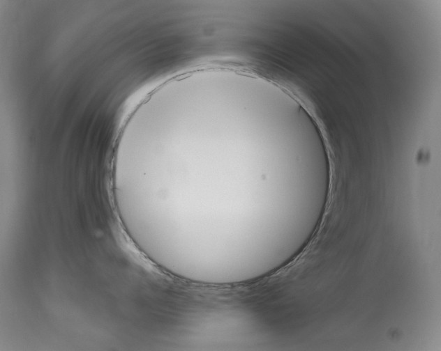 X0000114070960200911161149