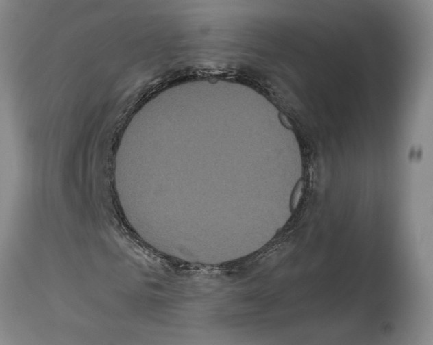 X0000114070961200911161149