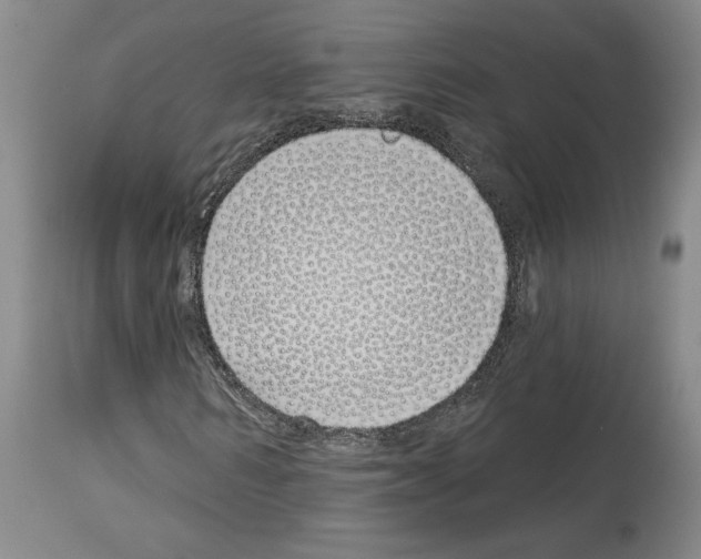 X0000114070962200911161149