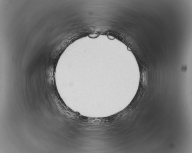 X0000114070963200911161149