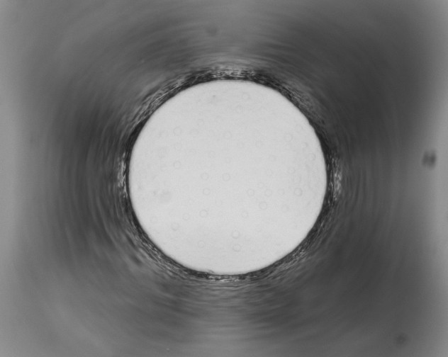 X0000114070964200911161149