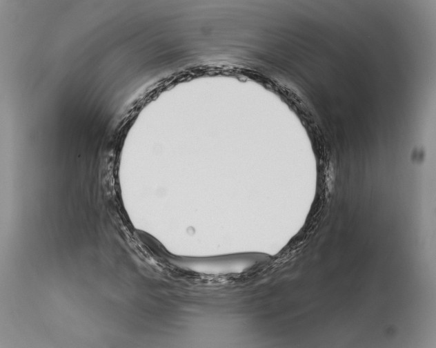 X0000114070968200911161148