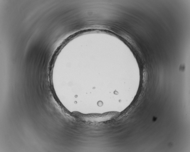 X0000114070972200911161148