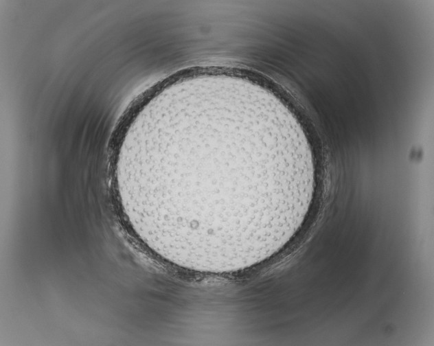 X0000114070974200911161148