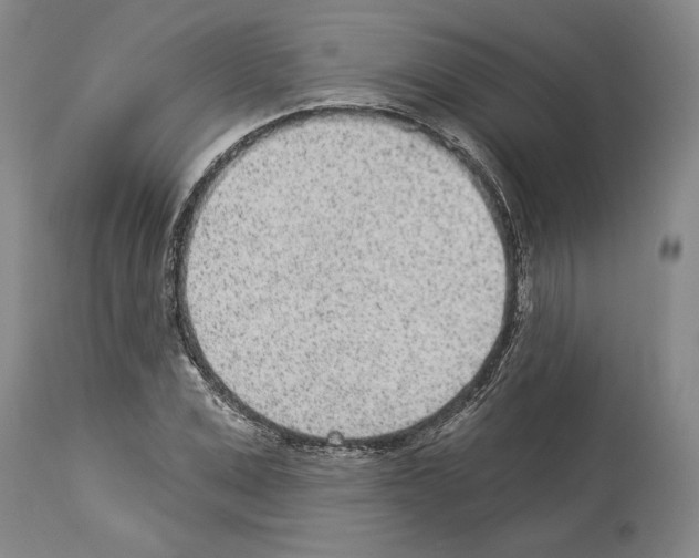 X0000114070975200911161148