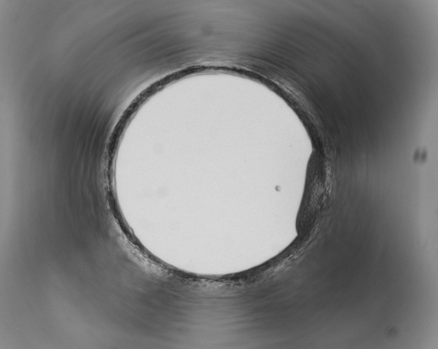 X0000114070976200911161148