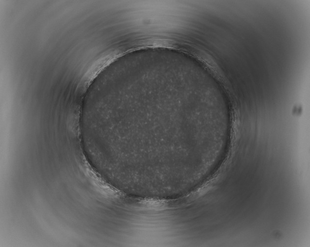 X0000114070977200911161148