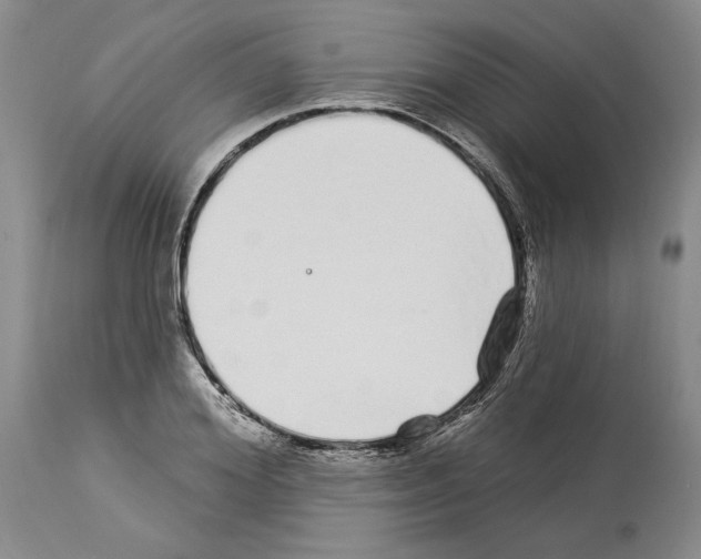 X0000114070980200911161148