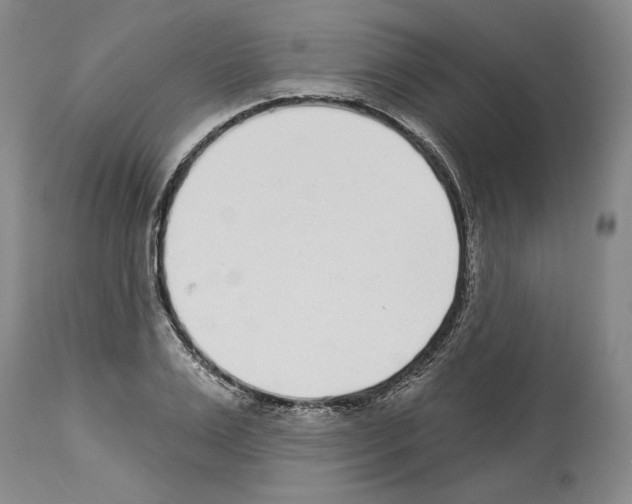 X0000114070983200911161148