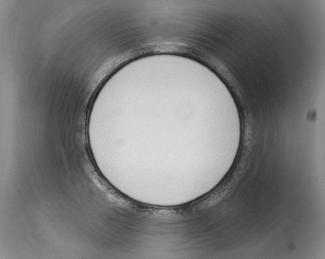 X0000114070986200911161148