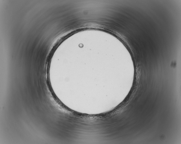 X0000114070987200911161148