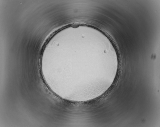 X0000114070992200911161148