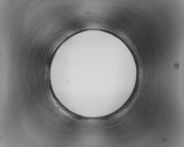 X0000114070993200911161148