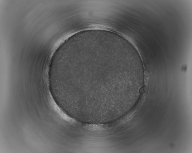 X0000114070995200911161148