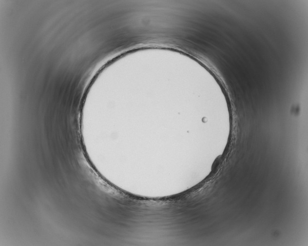 X0000114070996200911161148