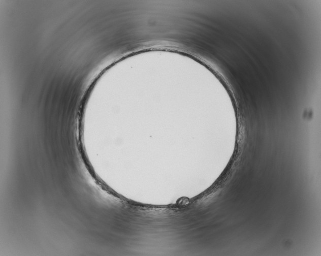 X0000114070999200911161148