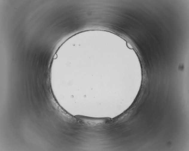 X0000114071004200911161148